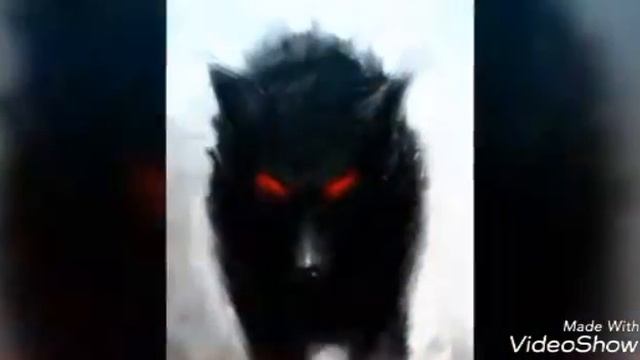 Фурри и аниме волки смотреть онлайн