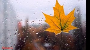 Вальс дождя. Лучшее видео на эту музыку.(720p)