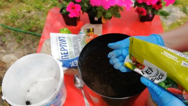 Высаживаю петунию в большие горшки. Что ложу в грунт. смотреть онлайн