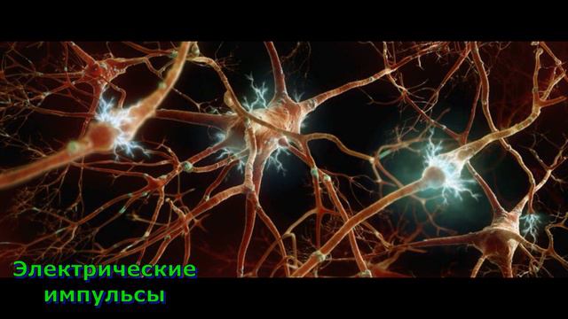 Аура Человека. Как образуется. смотреть онлайн