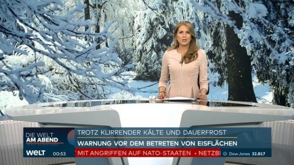 AQUADOM SEA LIFE: „Regelrechter Tsunami“ - Riesenaquarium am Berliner Dom geplatzt | WELT Stream