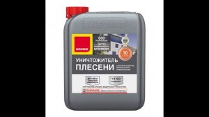 Черная плесень, как избавиться? Удаление плесени и грибка со стен в квартире своими руками.