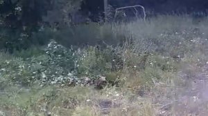 Минитрактор ЧТЗ УРАЛЕЦ Т 02.01