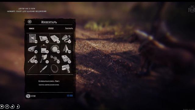 Приключения компаньонов на сервере  Flat Iron  #rdo  #rdr2  #redm #reddeadredemption