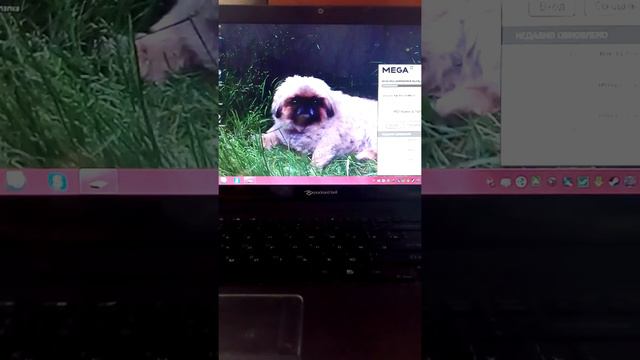 Мод меню для гта онлаин часть1 смотреть онлайн