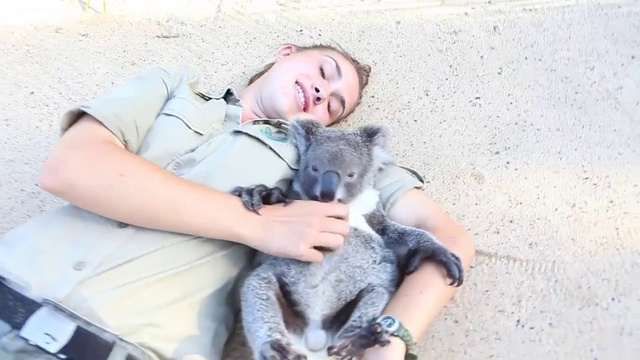 Милая коала играет и обнимается с девушкой смотреть онлайн