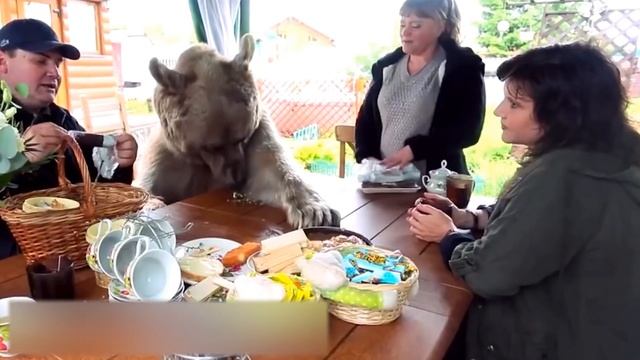 6 САМЫХ НЕОБЫЧНЫХ ДОМАШНИХ ЖИВОТНЫХ смотреть онлайн