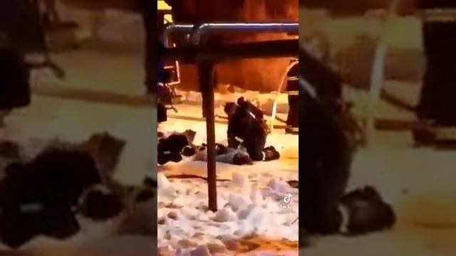 Как спасти человека... Искусственное дыхание онлайн!!! И массаж сердца... Ты только дыши... смотреть онлайн