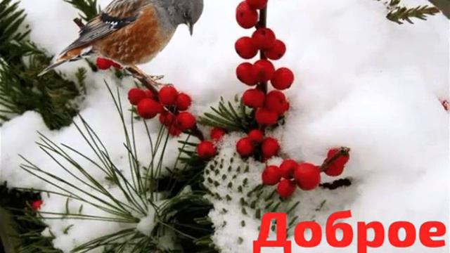 18 декабря 2023 г. смотреть онлайн