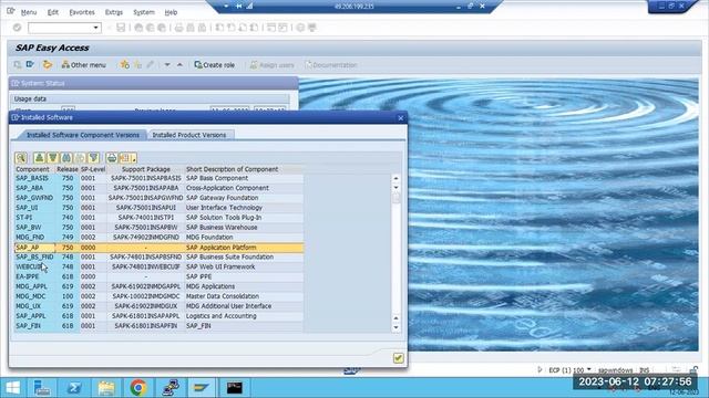 SAP BASIS - SNOTE ,SPAM & SAINT (Introduction) смотреть онлайн