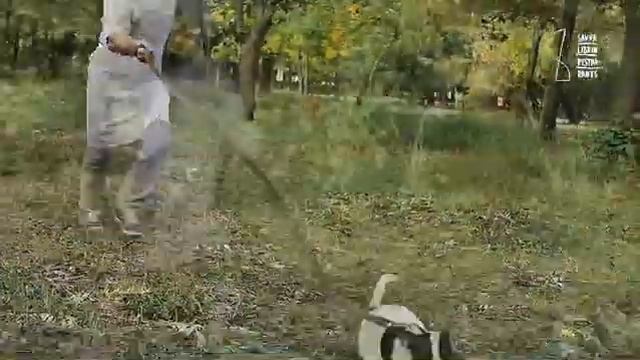 Черный трюфель в "Тавернетте" смотреть онлайн