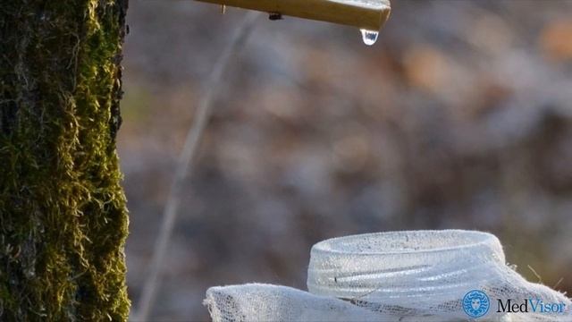 Рецепты на каждый день