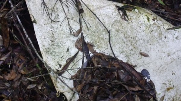 Люди, выжившие при авиакатастрофах