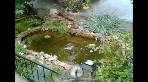 Дачный пруд своими руками из старой ванны