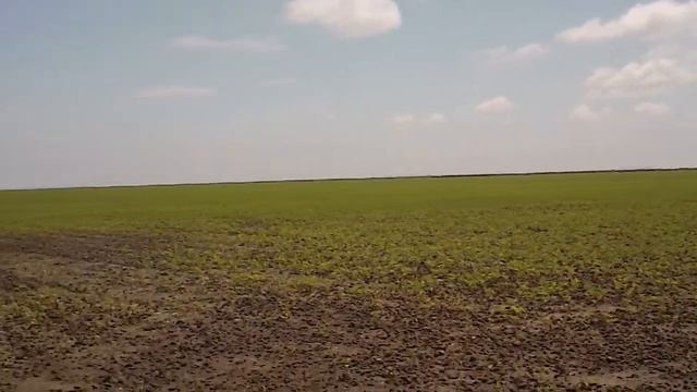 MAH00012 смотреть онлайн