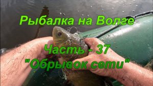 Рыбалка на Волге. Часть - 37. «Обрывок сети».