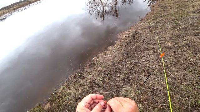 РЫБАЛКА НЕ ПРЕДСКАЗУЕМА.ПОЙМАНО МНОГО ВИДОВ РЫБЫ. смотреть онлайн