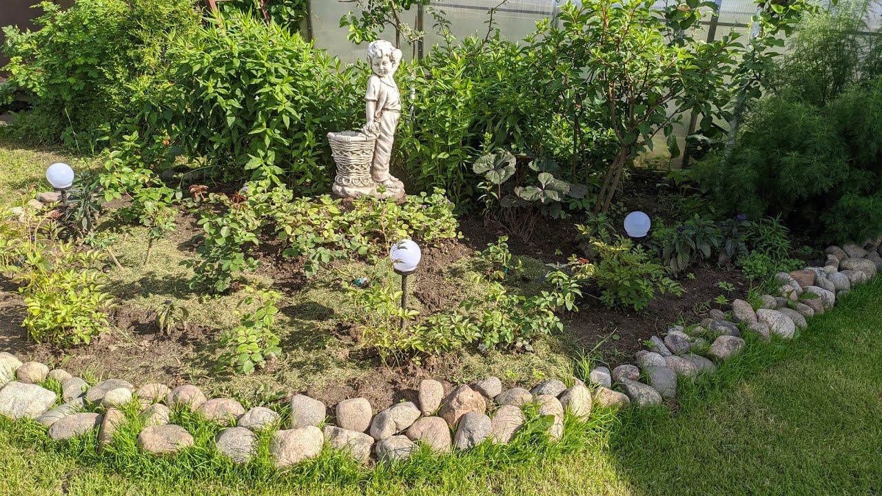 Мой любимый сад. Июль 2020. смотреть онлайн