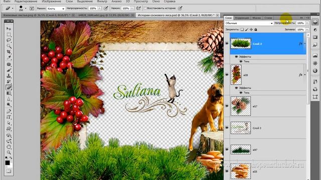как вставить фото в рамку в фотошопе смотреть онлайн