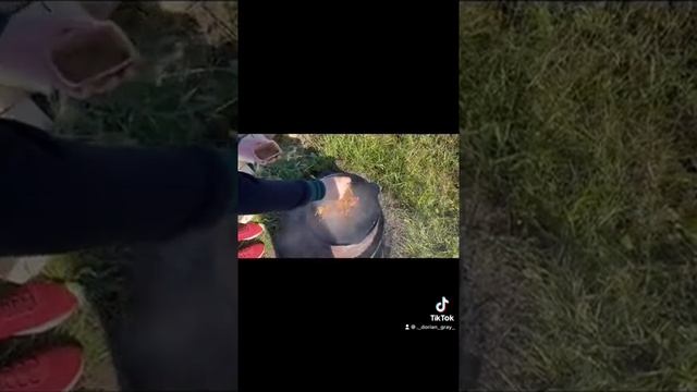 Плов на даче!#плов#узбекский плов#плов в казане#shorts смотреть онлайн