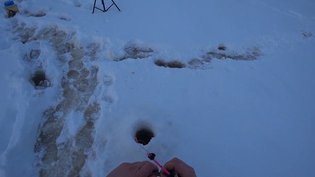 В этот раз повезло. Рыба ловилась прекрасно. смотреть онлайн