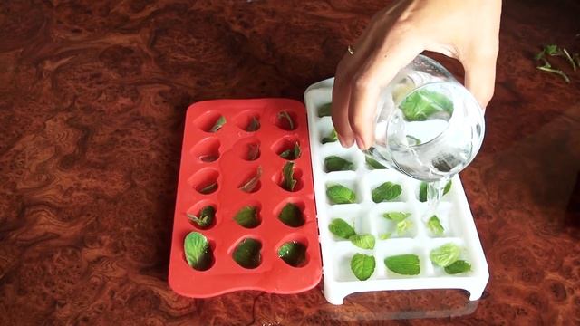 КАК СДЕЛАТЬ ЛЕД С МЯТОЙ. ЛЕД ДЛЯ СМУЗИ И ЛИМОНАДА. КАК СДЕЛАТЬ ЛЕД В ДОМАШНИХ УСЛОВИЯХ. смотреть онлайн