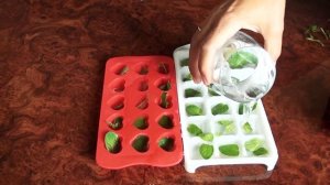 КАК СДЕЛАТЬ ЛЕД С МЯТОЙ. ЛЕД ДЛЯ СМУЗИ И ЛИМОНАДА. КАК СДЕЛАТЬ ЛЕД В ДОМАШНИХ УСЛОВИЯХ.