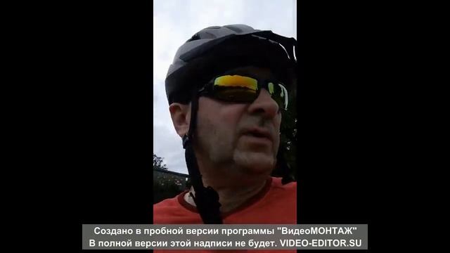 Поиск легендарного дерева Гинкго Билоба . смотреть онлайн