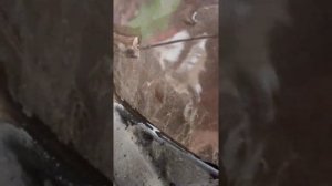 Вода в багажнике. Фольксваген Поло течëт.