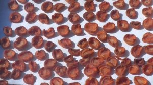 Правильная сушка абрикоса.