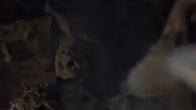 Новые приключения янки при дворе короля Артура. Фантазии на тему Марка Твена (1988 г.) смотреть онлайн