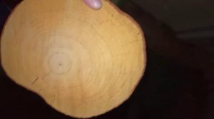 Как высушить деревянный спил быстро .