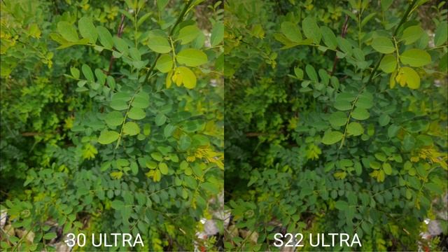 Motorola Edge 30 Ultra Vs Samsung Galaxy S22 Ultra Camera Test Comparison