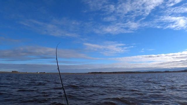 Троллинг. Результативный выход на озеро.17.10.2020.Клёв осенней щуки.Trolling on the lake Burtnieks смотреть онлайн