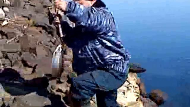 Форель на Ангаре.avi смотреть онлайн