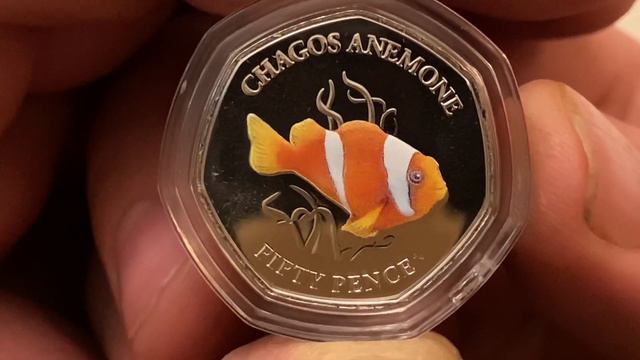 Sea Creatures: Chagos Anemone 2021