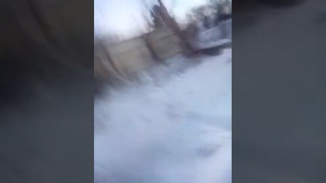 Нашли волка смотреть онлайн