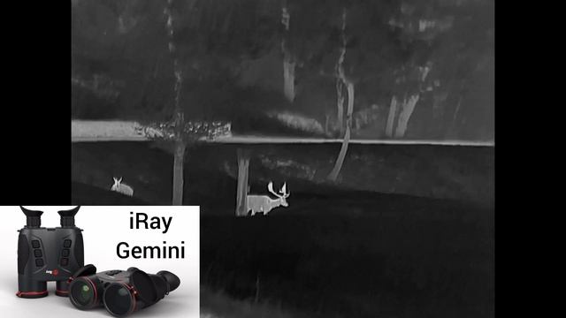 iRay Gemini GEH50R Цветен Дневно Нощен Термален Бинокъл с Лазерен Далекомер и сензор 640х512 смотреть онлайн