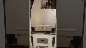 котёл Гепард Протерм не запускается в мороз. нет искры