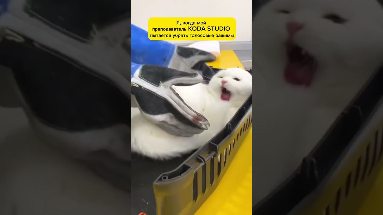 Когда педагог работает с голосовым зажимом смотреть онлайн