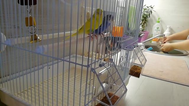 Будни мамы, расхламление квартиры. смотреть онлайн