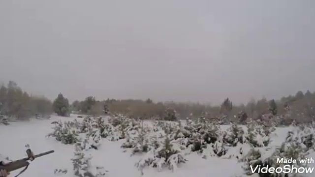 Охота КАБАН из АЛЯСКА что осталось на эфир? 2019 смотреть онлайн