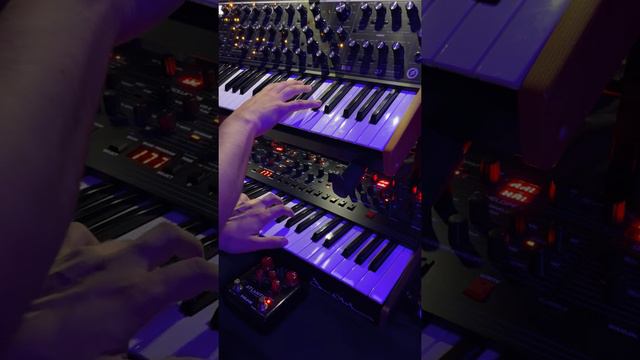 El loco Juan Carabina - Moog Subsequent 37 + Nux Atlantic, Sequential/Oberheim OB-6 смотреть онлайн