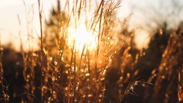 ИЗБАВИТЬСЯ ОТ ДОЛГОВ ПОМОЖЕТ КУРИНОЕ ЯЙЦО.Эзотерика Для Тебя*Магия дня*Сила слова смотреть онлайн