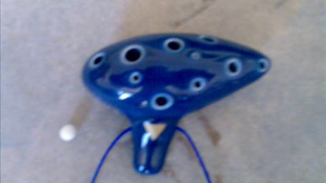 Was Wollen Wir Trinken - On Ocarina