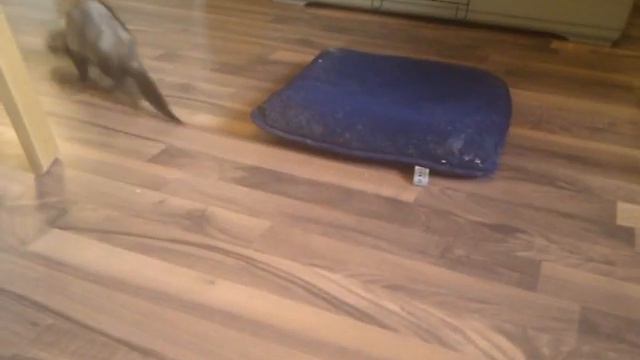 Норри тырит подушку смотреть онлайн