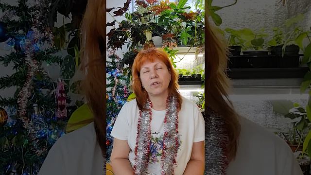 ЭСТАФЕТУ ПРИНЯЛА!!! 👍☘️🏵️🌿🌸#комнатныерастения #волгоград #растения #эстафета 🏵️☘️ смотреть онлайн