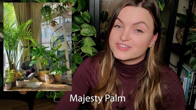Best Large Plants for 'Impact'! смотреть онлайн