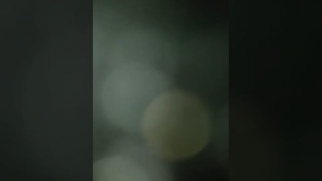 F1 Serval meets Mokave Jag Cat смотреть онлайн