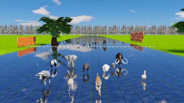 The Great Animal Race 40 Majestic Wild Creatures Compete for Victory!